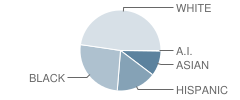 New Mill Creek Cluster Elementary School Student Race Distribution