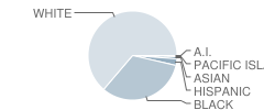 Walker Middle School Student Race Distribution