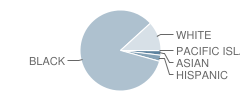 Westside High School Student Race Distribution