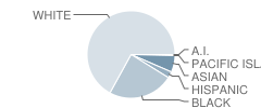Marshpoint Elementary School Student Race Distribution