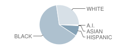 Patrick Henry High School Student Race Distribution