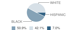 Watson Center School Student Race Distribution