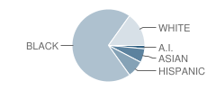 Imagine International Academy of Smyrna Student Race Distribution