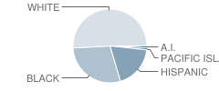 Coffee County Pre-K Academy Student Race Distribution