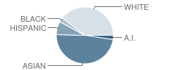 Connections Public Charter School Student Race Distribution