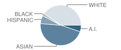 The Volcano School of Arts & Sciences - Pcs Student Race Distribution