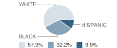 Elizabeth Tate Alternative High School Student Race Distribution