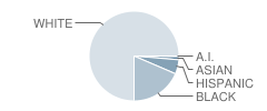 Oak Street Middle School Student Race Distribution