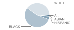 Johnson Elementary School Student Race Distribution