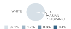 Central High School Student Race Distribution