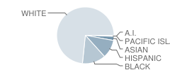 Harrison Elementary School Student Race Distribution