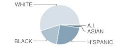 Monroe Elementary School Student Race Distribution