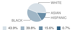 Washington Elementary School Student Race Distribution