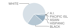 North High School Student Race Distribution