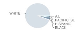 New Albin Elementary School Student Race Distribution