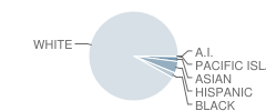 Fairfield High School Student Race Distribution