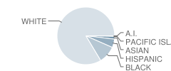 Phillips Middle School Student Race Distribution