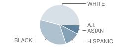 Kirkwood Elementary School Student Race Distribution