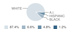 Wells-Carey Elementary School Student Race Distribution