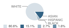 Westfield Elementary School Student Race Distribution