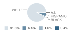 Lone Tree Elementary School Student Race Distribution