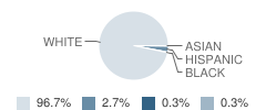 Mediapolis Elementary School Student Race Distribution