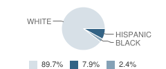 Morning Sun Elementary School Student Race Distribution