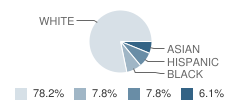 Van Allen Elementary School Student Race Distribution