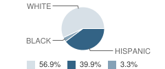 Garfield Elementary School Student Race Distribution