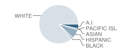 Ottumwa High School Student Race Distribution