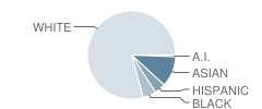 Riverdale Heights Elementary School Student Race Distribution