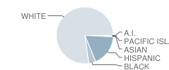 Stewart Elementary School Student Race Distribution