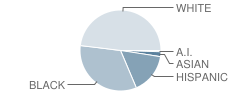 Irving Elementary School Student Race Distribution