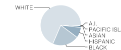 West High School Student Race Distribution