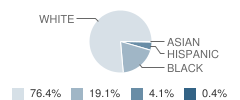 Wilson Elementary School Student Race Distribution