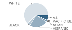 Irving Preschool Student Race Distribution