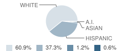 Shoshone High School Student Race Distribution