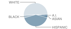 Whittier Elementary School Student Race Distribution