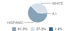 Canyon Springs Alternative High School Student Race Distribution