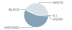 Jefferson Middle School Student Race Distribution