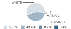 Dworshak Elementary School Student Race Distribution