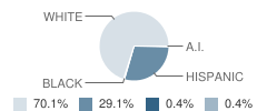 Gooding Middle School Student Race Distribution