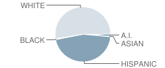 Horizon Elementary School Student Race Distribution