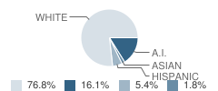 Kamiah Middle School Student Race Distribution