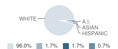 Spirit Lake Elementary School Student Race Distribution