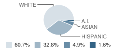 Central Alternative High School Student Race Distribution