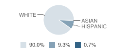 Adams Elementary School Student Race Distribution