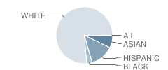 Frontier Elementary School Student Race Distribution