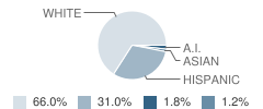 Parma Middle School Student Race Distribution