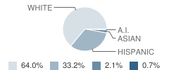 Maxine Johnson Elementary School Student Race Distribution